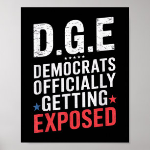 Poster D.o.g. e Governo de Doge Satire American Flag