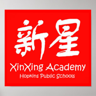 Poster da academia de XinXing