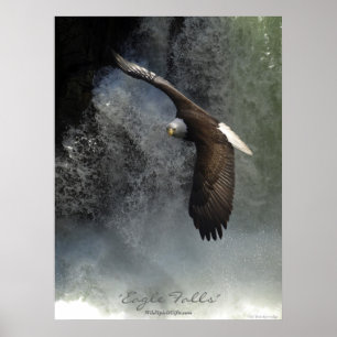 Poster da águia americana & da cachoeira
