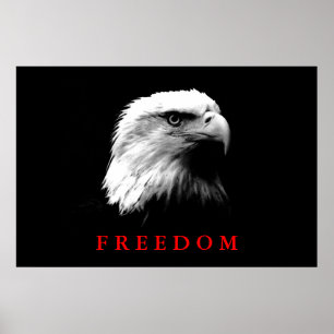 Poster da Águia de Liberdade Motivada Branca Negra
