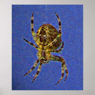 Poster da aranha da esfera