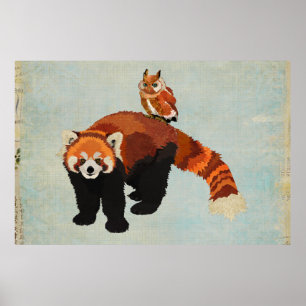 Poster da arte da panda vermelha & da coruja