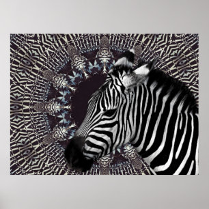 Poster da arte da zebra