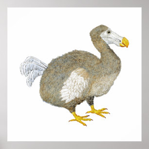 Poster da arte do pássaro do Dodo