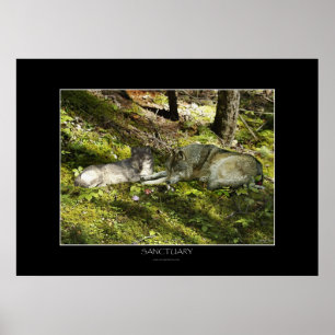 Poster da arte do SANTUÁRIO