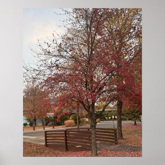 Poster da Autumn Walking Bridge (Frente)