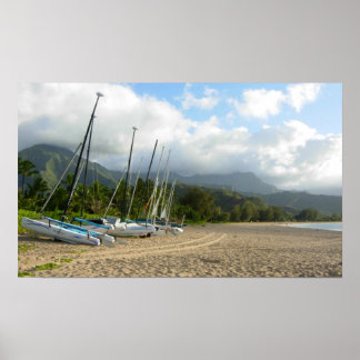Poster da Baía de Hanalei