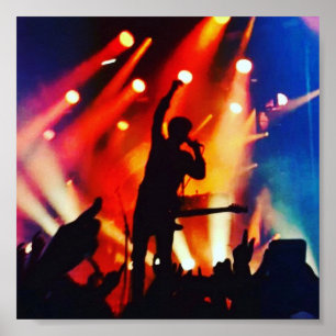 Poster da banda - peixe-gato e os bottlemen