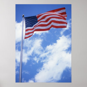 Poster da bandeira americana