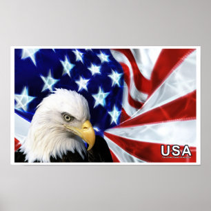 Poster da bandeira da águia americana dos Estados
