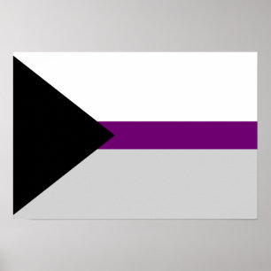 Poster da bandeira de Demisexuality