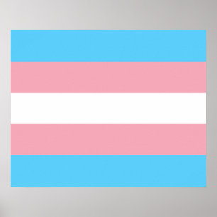 Poster da bandeira do Transgender