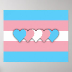 Poster da bandeira do Transgender