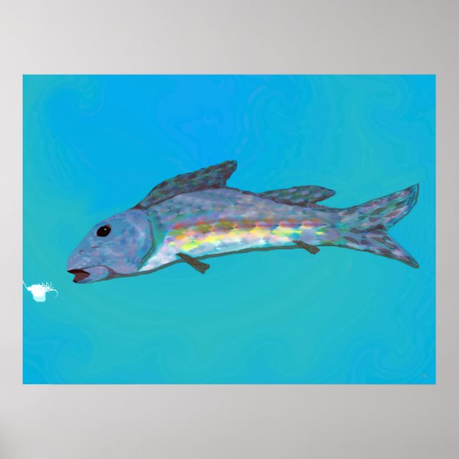 Poster da beleza do inverno (Frente)