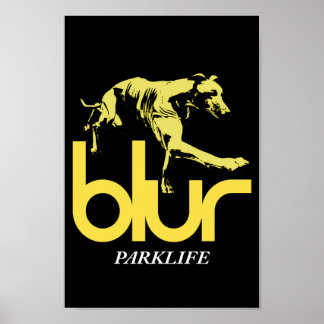 Poster da Blur Park Life
