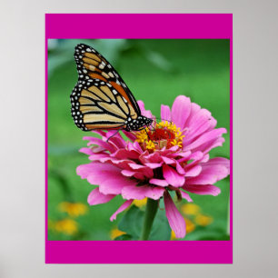 Poster da borboleta