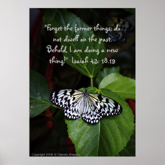 Poster da Borboleta Branca