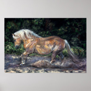 Poster da brisa da noite