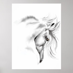 Poster da cabeça de cavalo de Whte