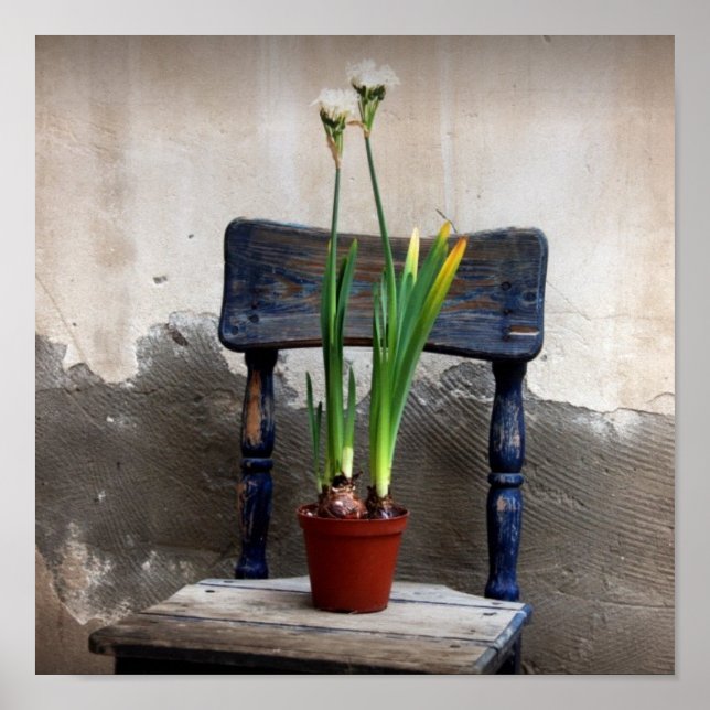 Poster da cadeira e da ventoinha (Frente)