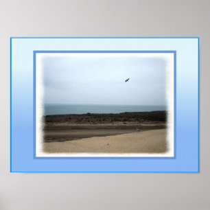 Poster da Califórnia Beach