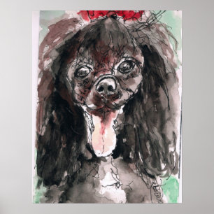 Poster da caniche