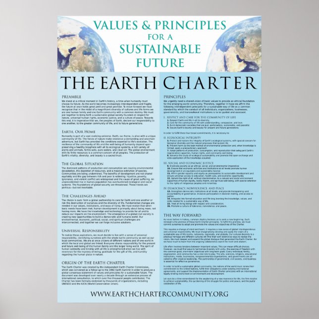 Poster da Carta da Terra - 22x31 Matte Finish (Frente)