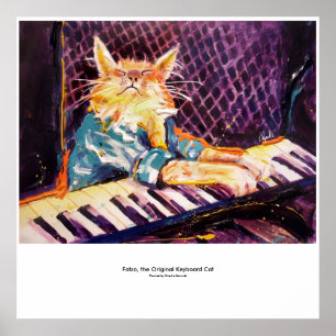 poster da cor do gato do teclado