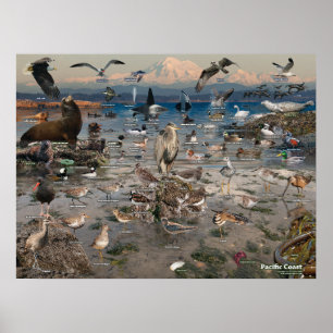 Poster da costa do Pacífico