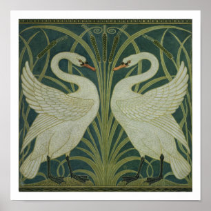 Póster Da "design do papel de parede cisne, da