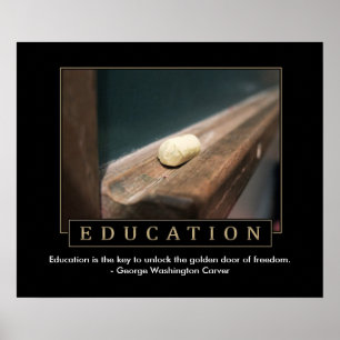 Poster da educação