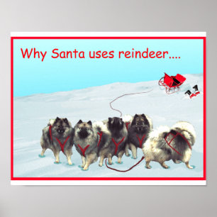 Poster da equipe do trenó