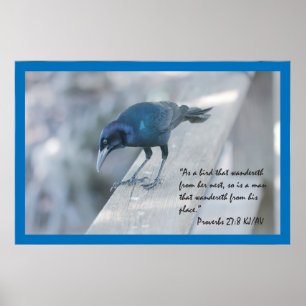 Poster da escritura do 27:8 dos provérbio