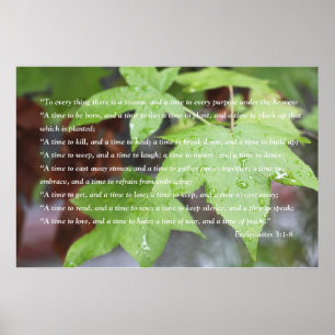 Poster da escritura do 3:1 de Ecclesiastes (versã