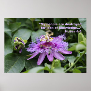 Poster da escritura do 4:6 de Hosea