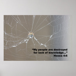 Poster da escritura do 4:6 de Hosea, versão D