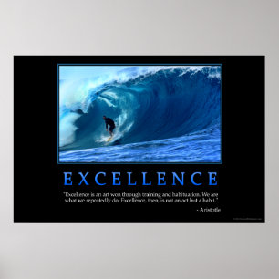 Poster da excelência