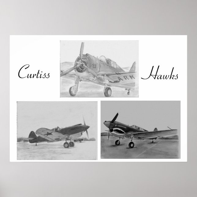 Poster da família Curtiss Hawk (Frente)