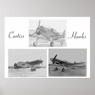 Poster da família do falcão de Curtiss