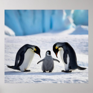 Poster da Família Penguin
