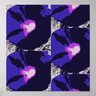Poster da flor da corriola