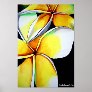 Poster da flor do Frangipani pela arte de Sacha