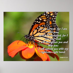 Poster da flor do girassol da borboleta de monarca