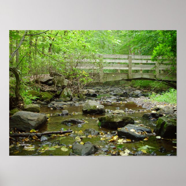 Poster da Floresta da Ponte Creek (Frente)