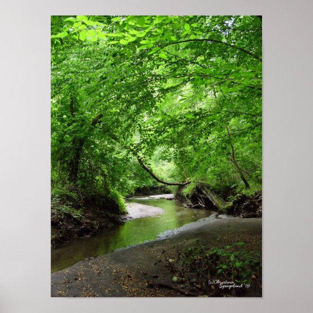 Poster da Floresta de Fluxo de Curva Tranquila (Frente)