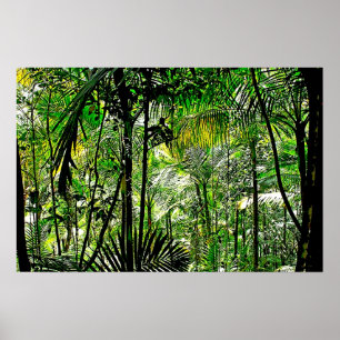 Poster da floresta húmida