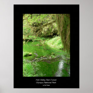 Poster da floresta tropical do vale de Hoh