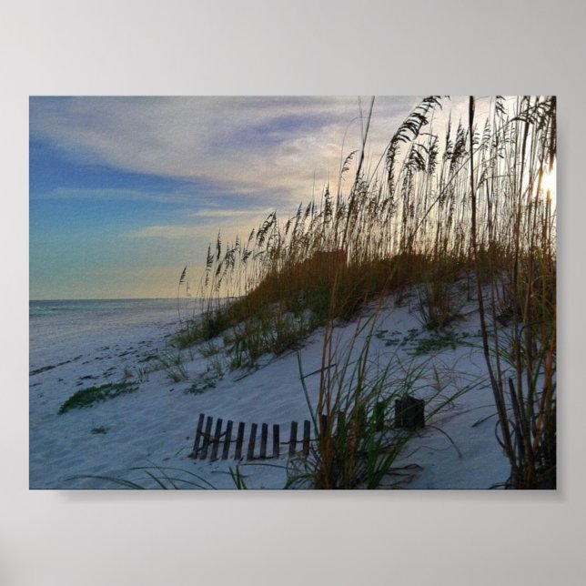 Poster da Florida Beach (Frente)