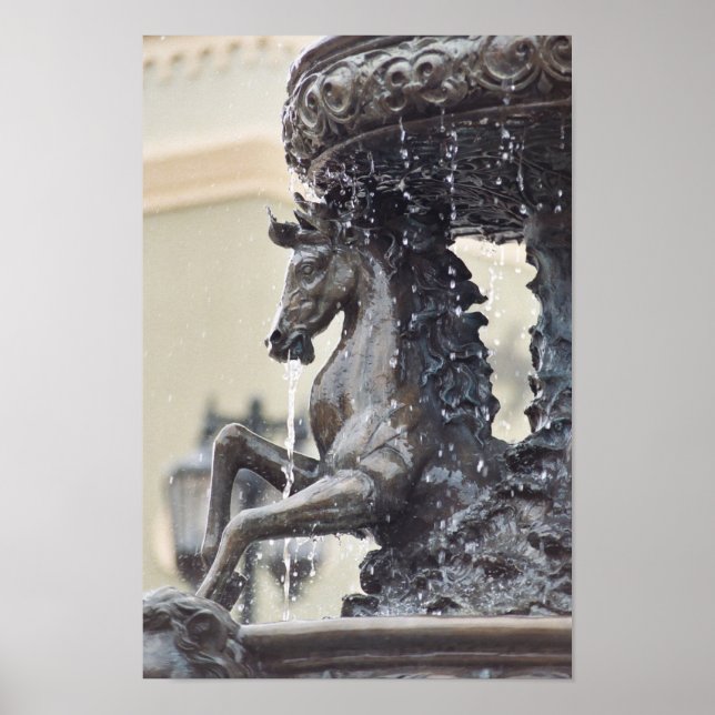 Poster da fonte de água do cavalo (Frente)