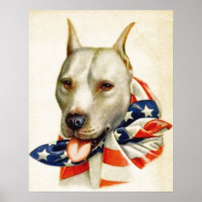 Poster da Guerra do Cão-Touro Patriótico Americano (Frente)